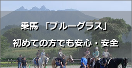 阿蘇高森レストラン 旨乃蔵と乗馬クラブ　ブルーグラス