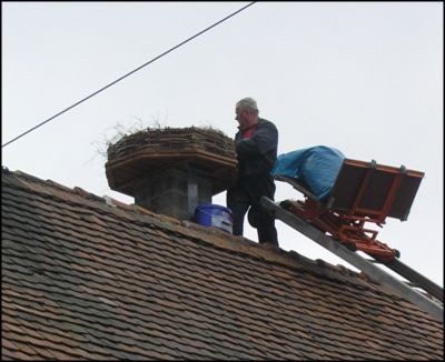 Storchennest bauen