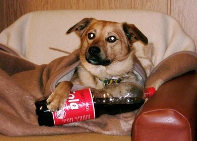 Charlie hat Durst