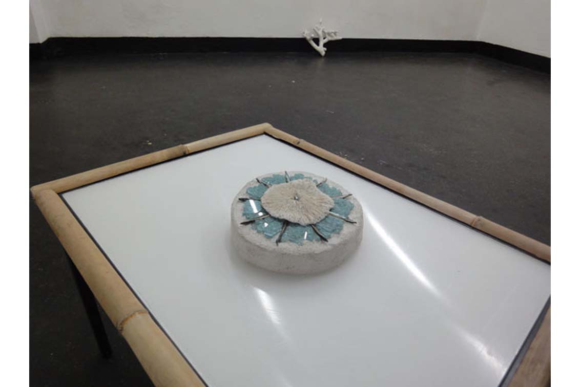 sea gem (Tessa Miller) on the table (ICW), exhibtion, ICW und Tessa Miller, 2013