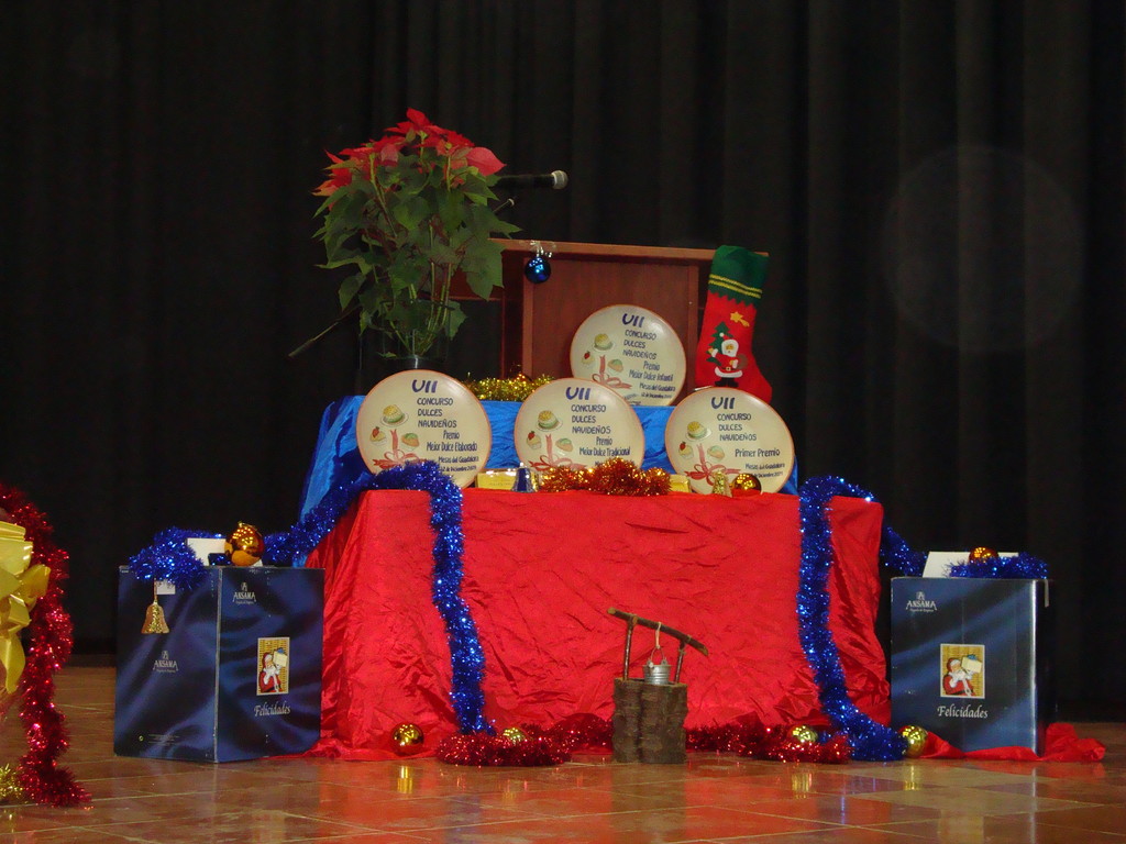 VII Concurso de Dulces Navideños (12 de diciembre de 2009)