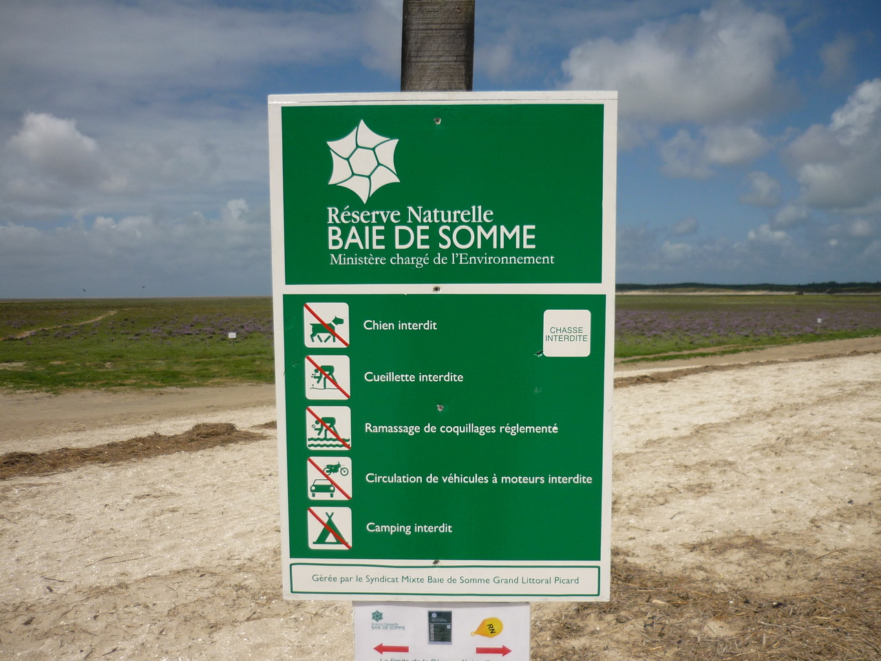 La Baie de Somme et ses oiseaux - Sorties pédestre avec un guide nature ...