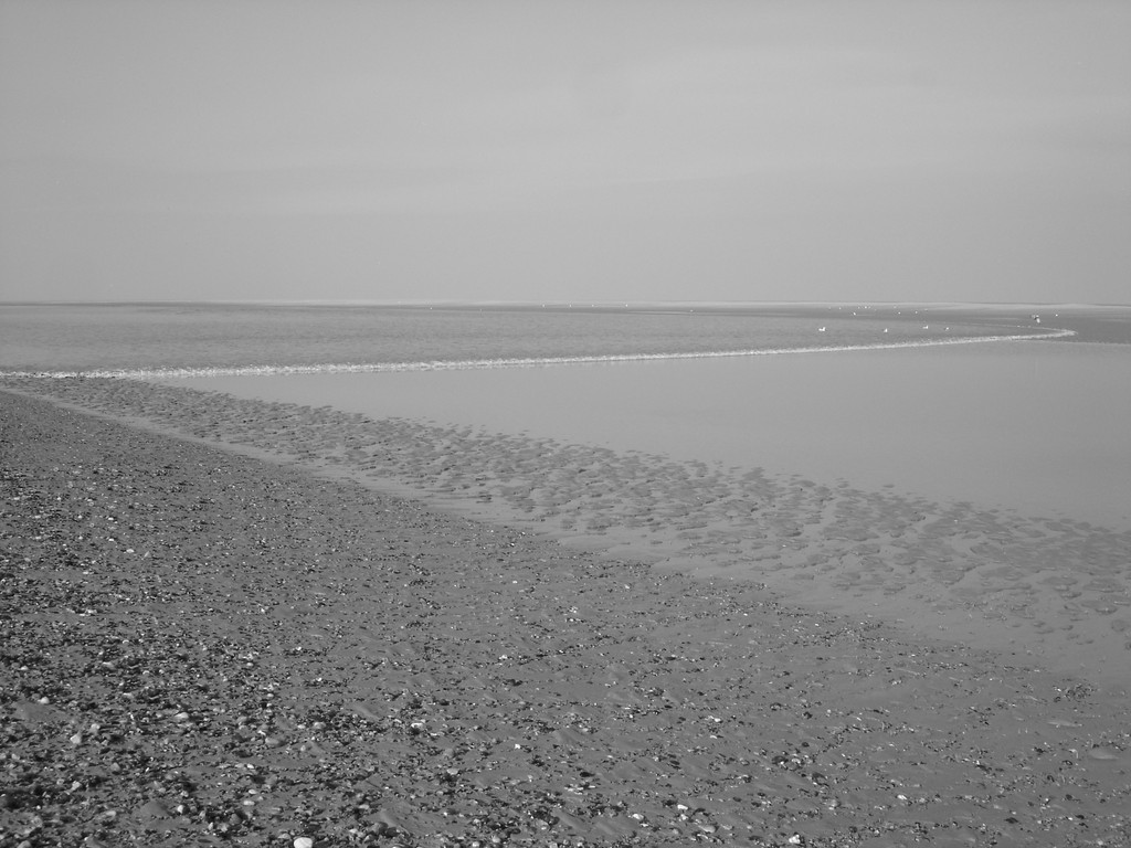 l'arrivée du flot en baie de somme