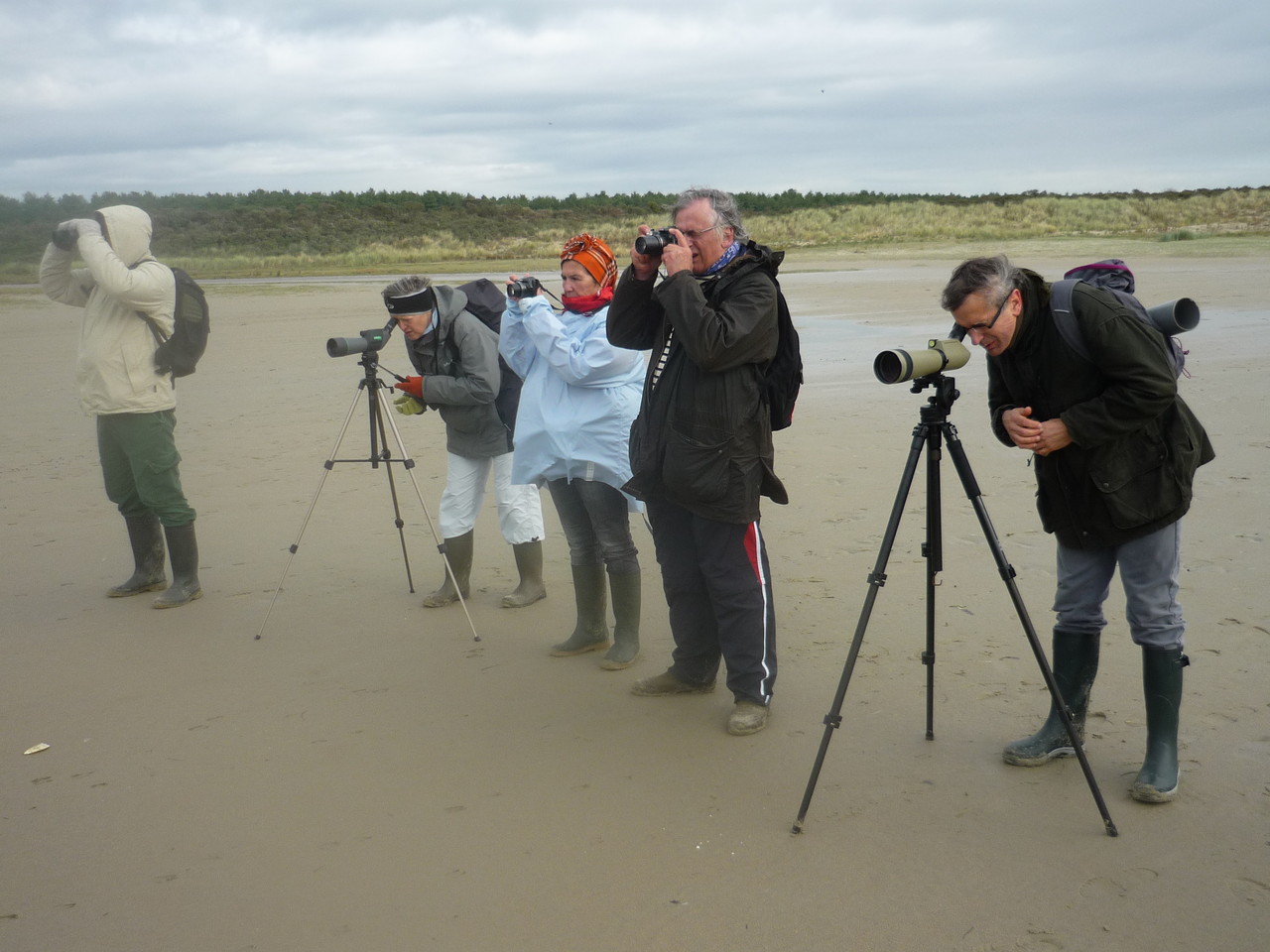 Observation dans la réserve naturelle maritime