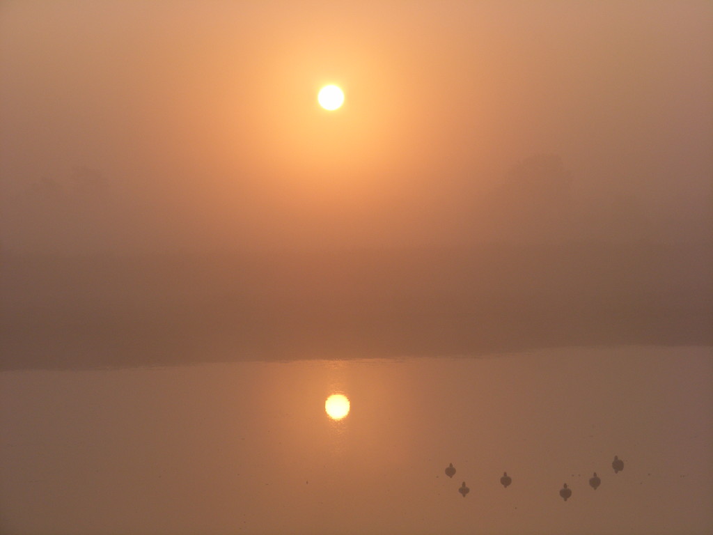 Brume en baie de somme