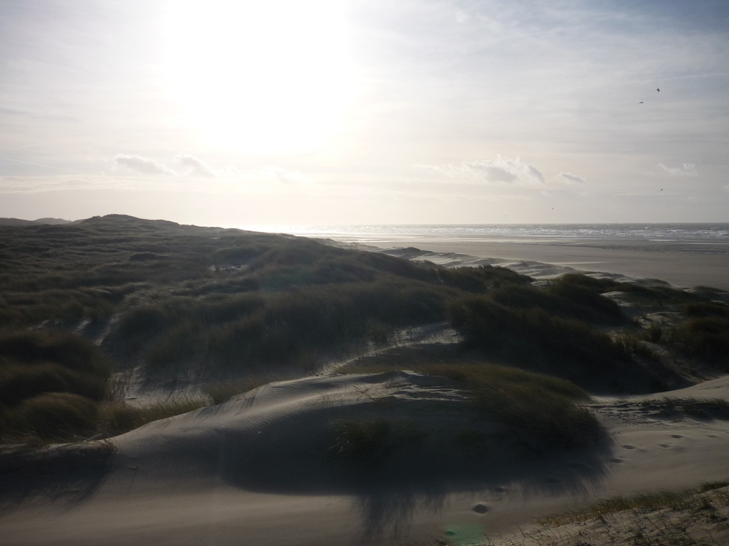 Les dunes de l'Authie