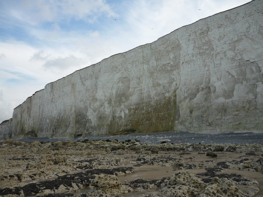 Falaise de craie