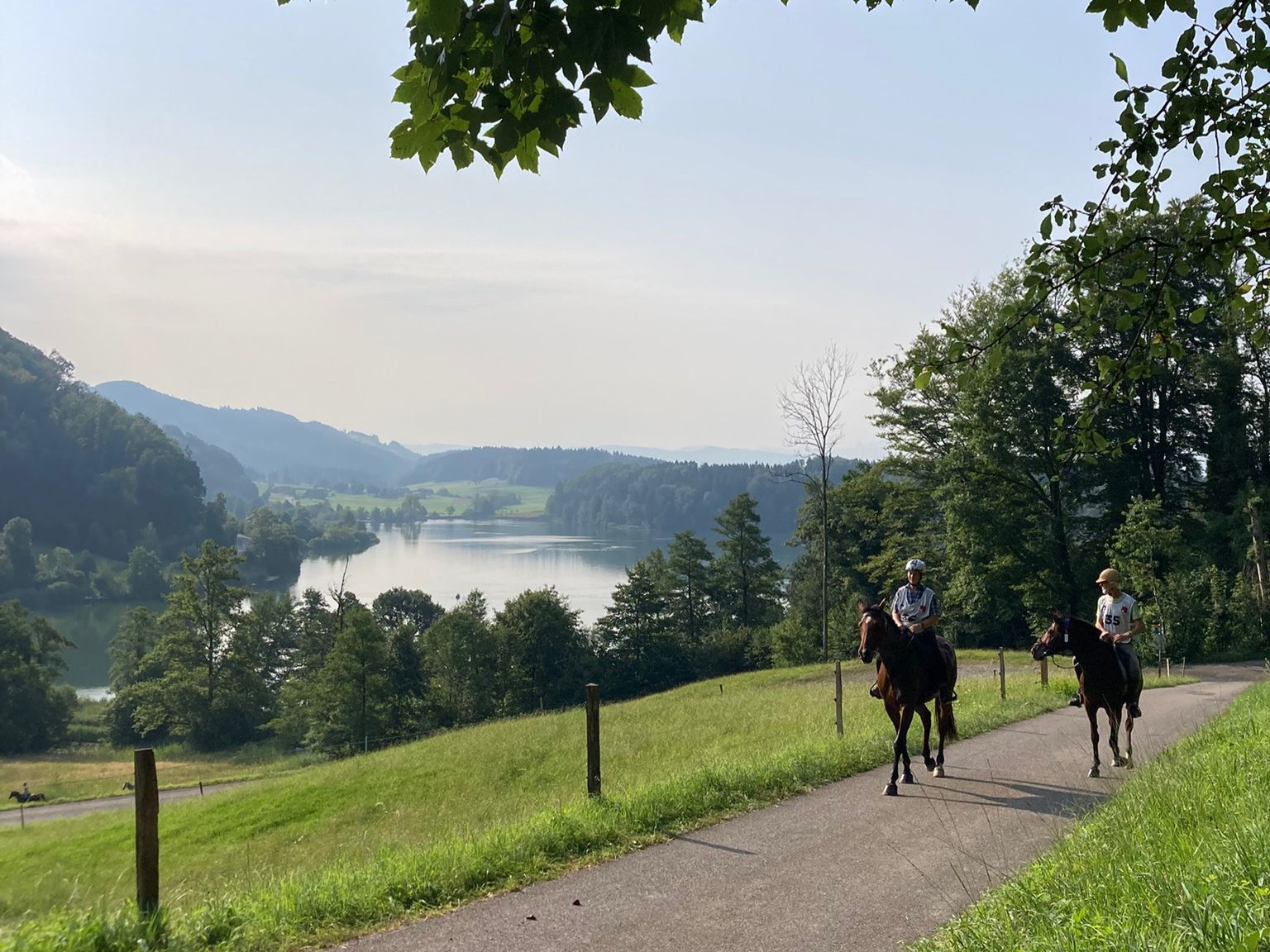 Resultate Albis Distanzritt
