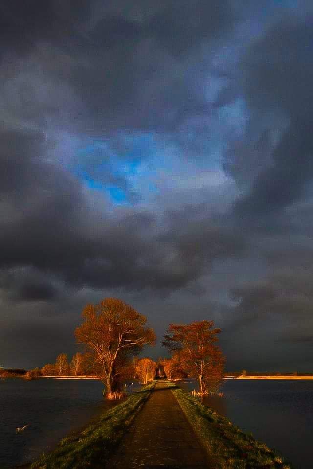 das Licht................