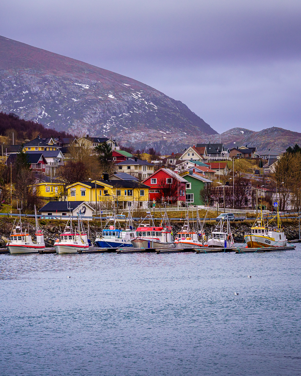 Lofoten - Fischerboote im Hafen von Napp