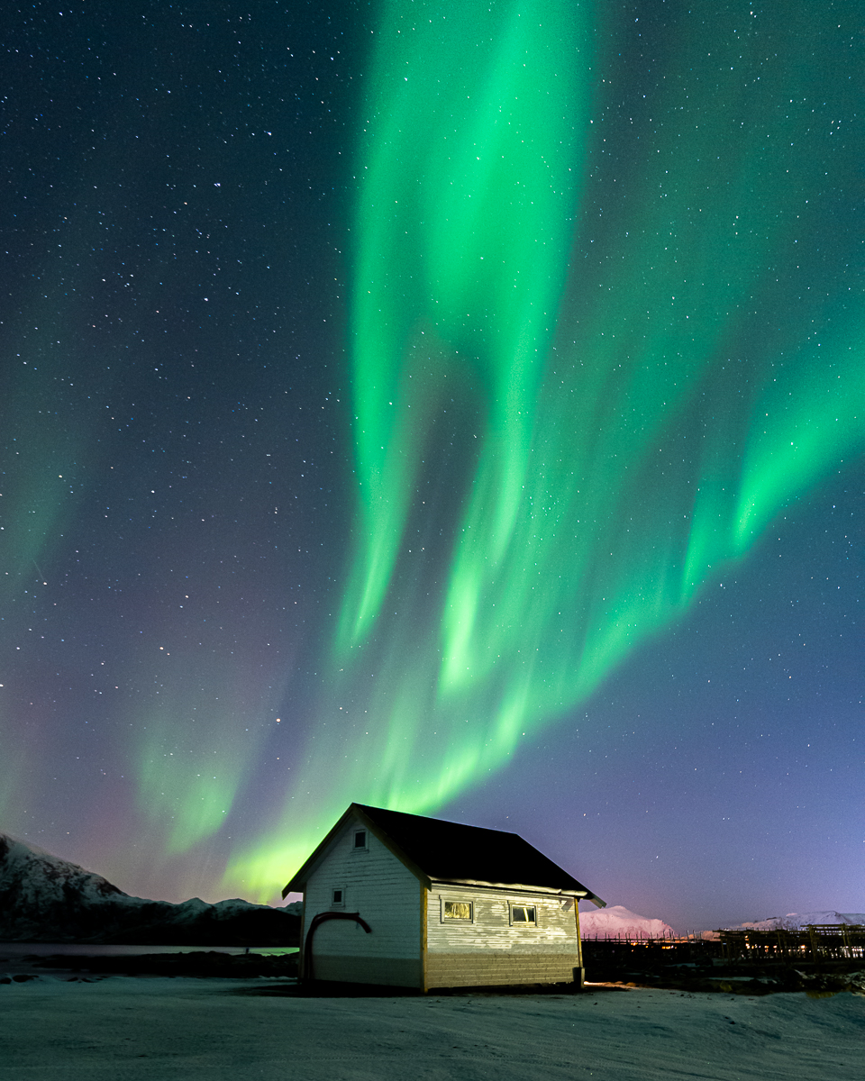 Lofoten: Nordlichter