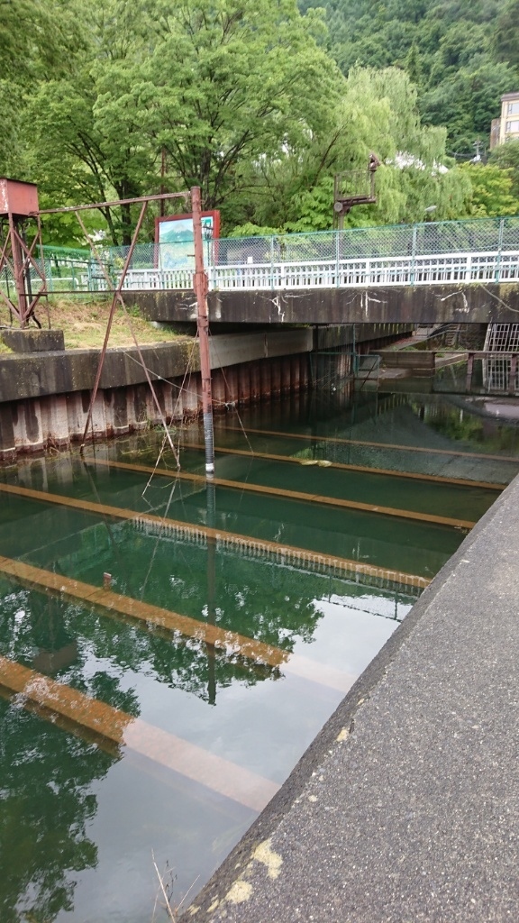 畳岩 河口湖 おかっぱり探索記