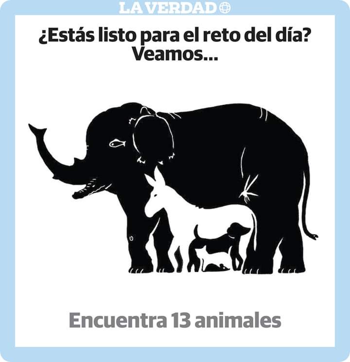 Juegos Mentales Para La Cuarentena Pagina Web De Orientacionjazmin