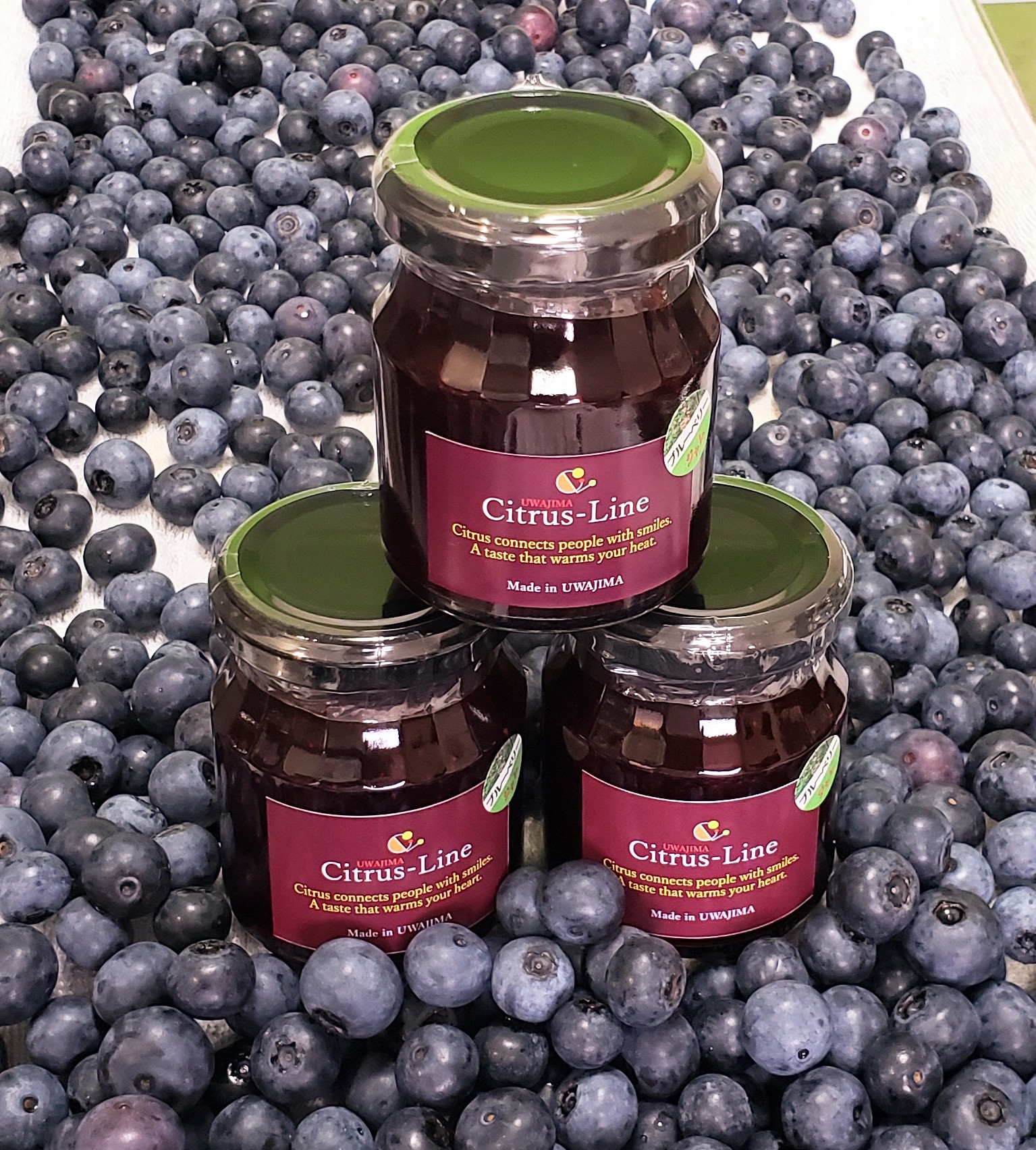 Citrus-Line ブルーベリージャム（1,000円／130g 税込・送料別