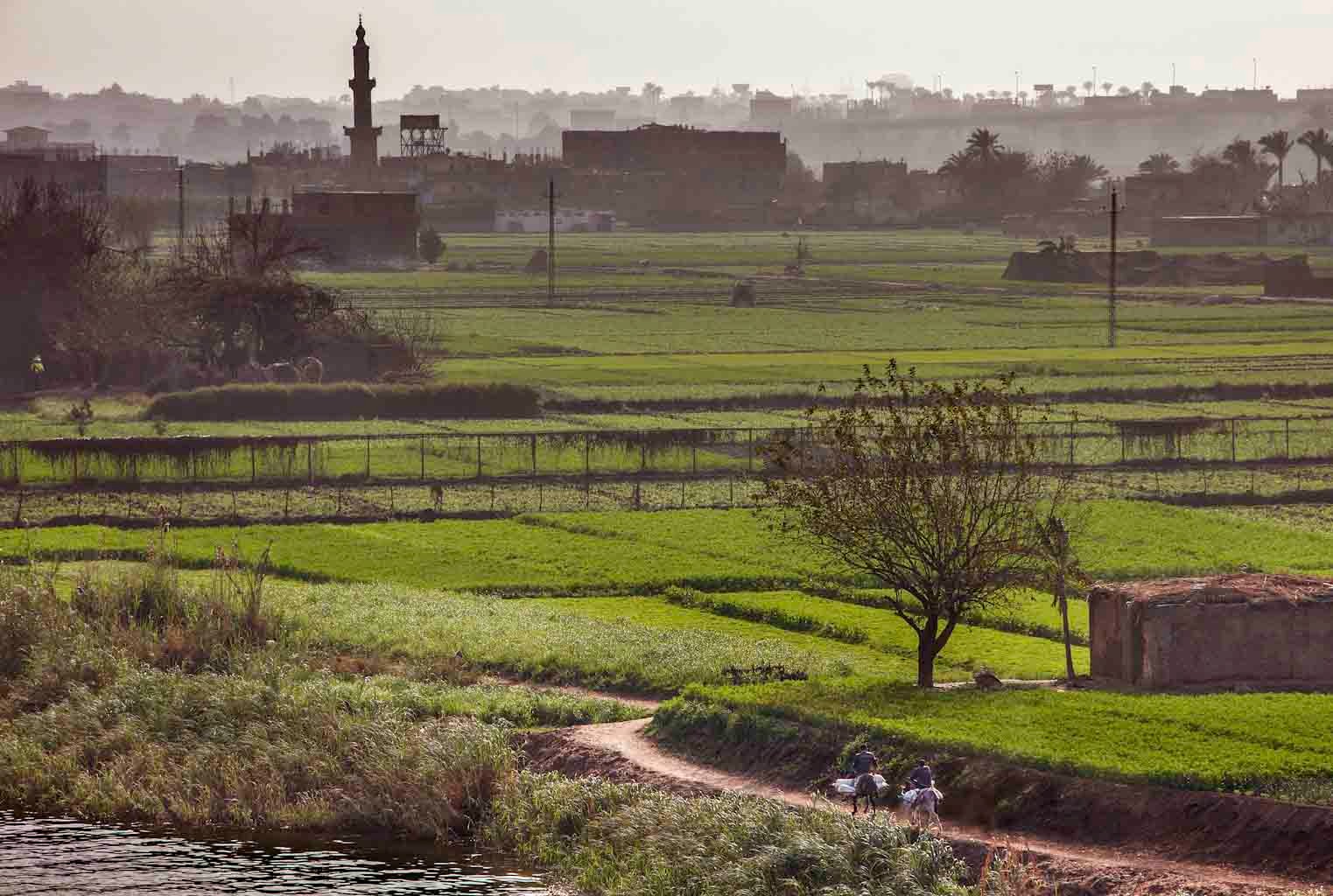 Cairo - Egypt © 2014 Nik Schwald.