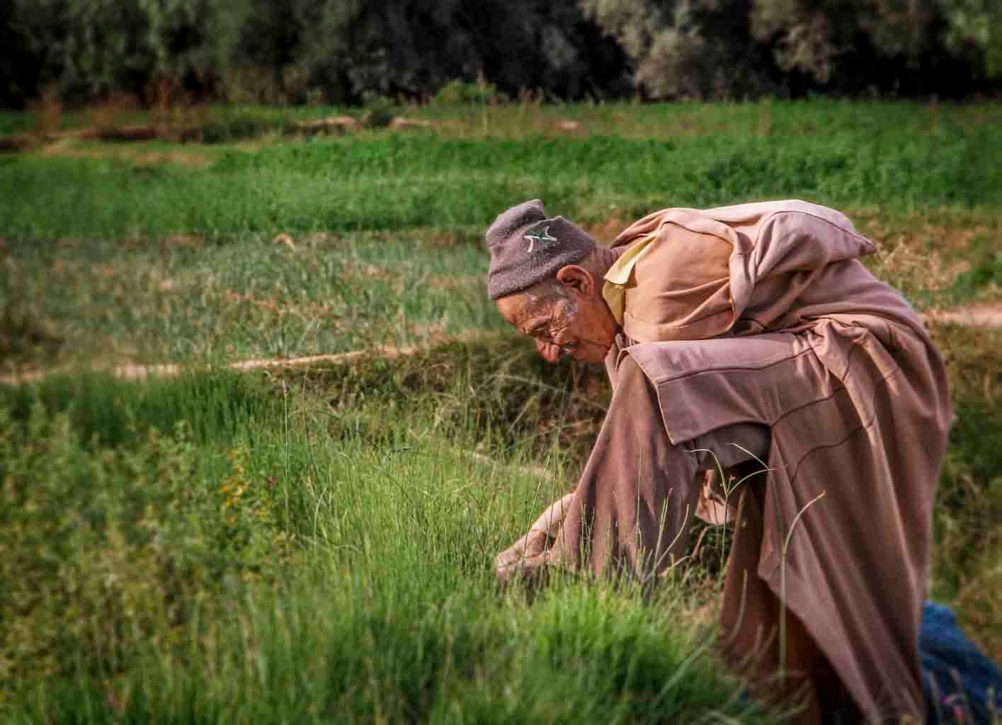 Tinghir Oasis - Morocco © 2014 Nik Schwald.