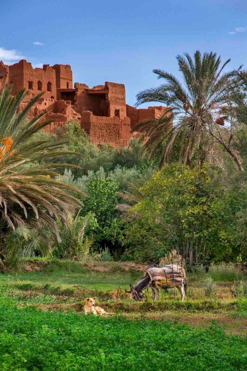 Ait Benhaddou - Morocco © 2014 Nik Schwald.