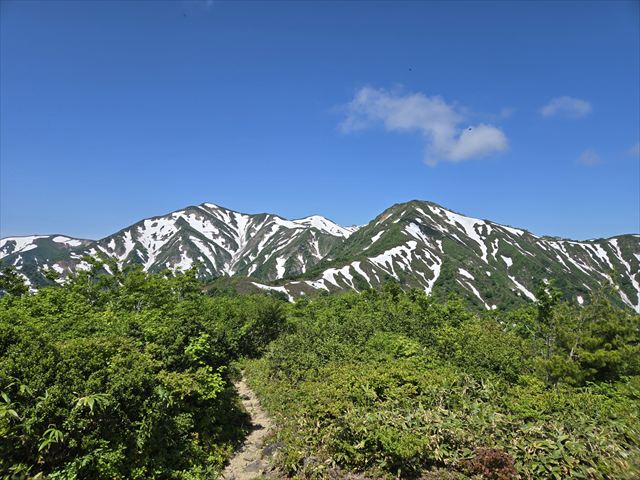▲6/13鳥原山山頂部展望台より小朝日岳、大朝日岳を望む