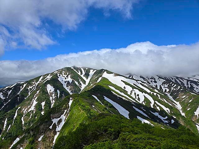 ▲6/10小朝日岳から望む大朝日岳。新緑と残雪が最高の眺めです!
