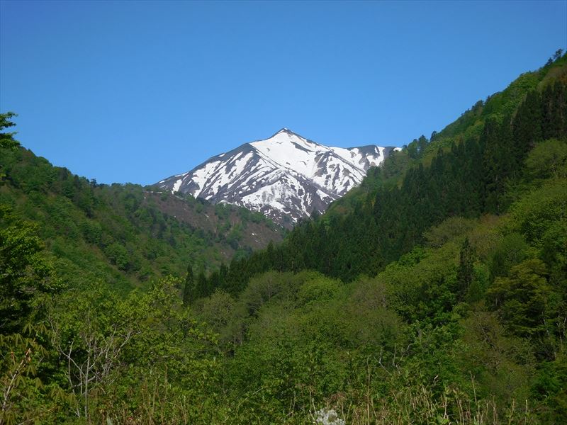 すっかり麓は緑に包まれました