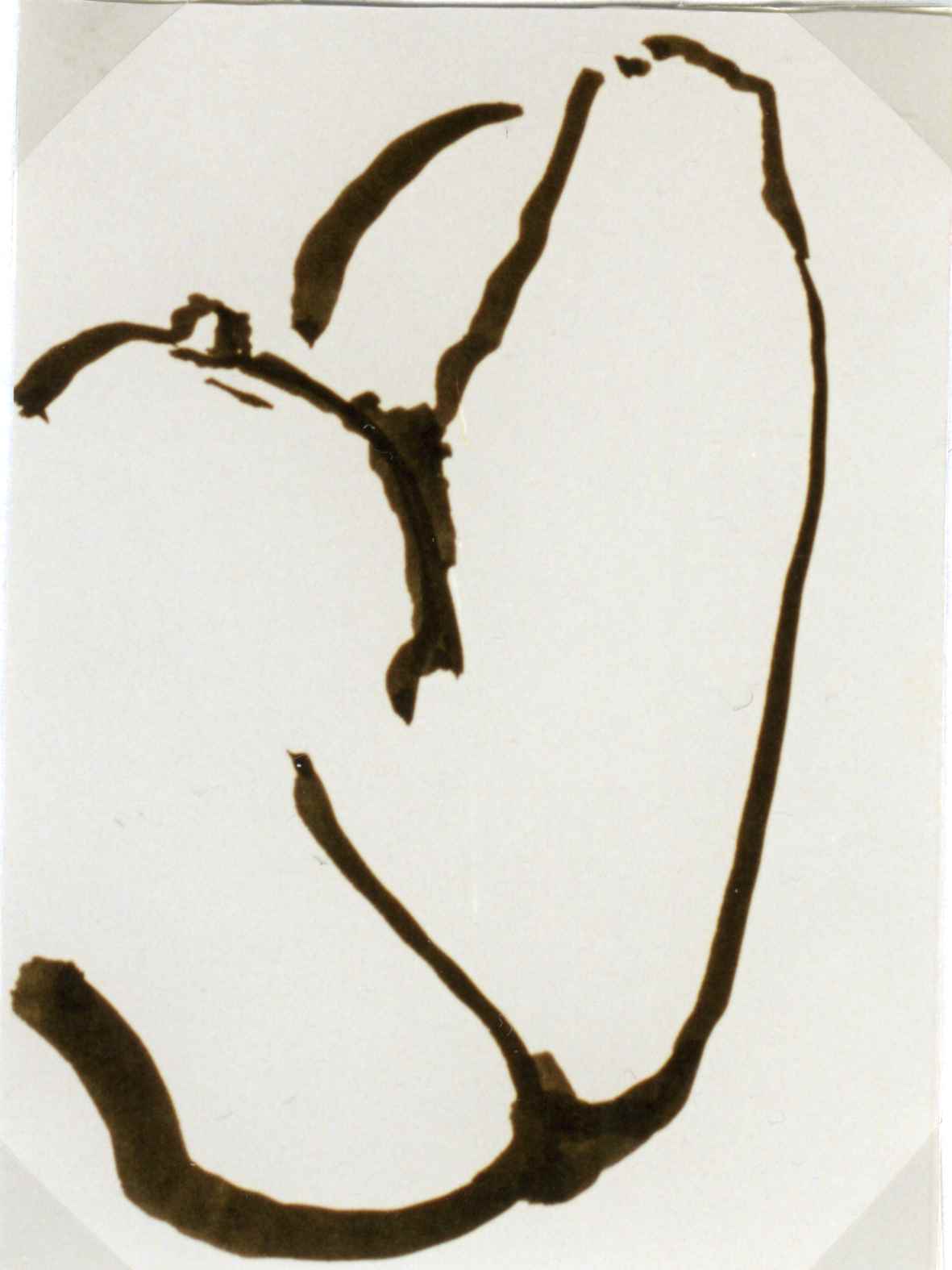 Selbstakt, Tusche auf Papier, 10,5 cm x 14,5 cm , 1995