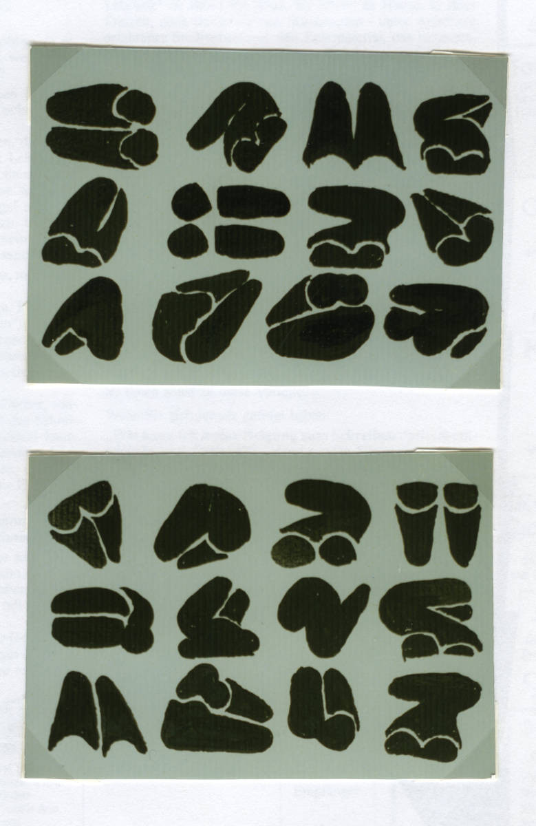 Selbstakt, Tusche auf Papier, 2 x 10,5 cm x 14,5 cm , 1996