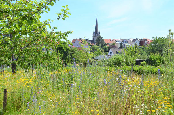 Der NABU-Projektgarten. Foto: NABU/Dieter Goy