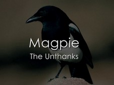 "dans la nuit plus profonde nous reprenions plusieurs fois en choeur le refrain de Magpie : Devil, we defy thee." (p.38) ♪ The Unthanks