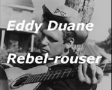 "La guitare de Duane Eddy propulse son solaire Rebel Rouser dans mon plexus." (p.63)