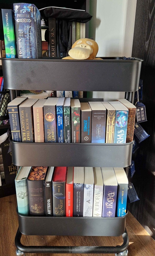 Ungelesene Bücher
