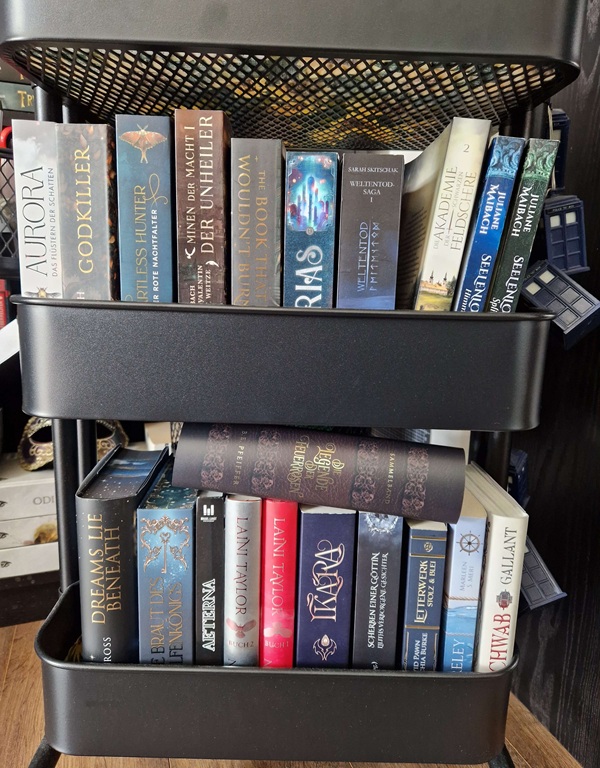 Ungelesene Bücher