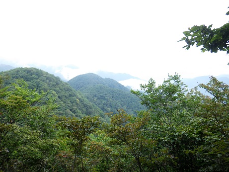 お坊山から甲府方面望む