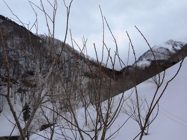 上流