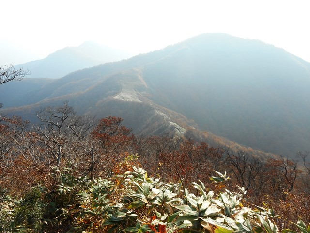 8・15鞍部のユートピアと中蒜山