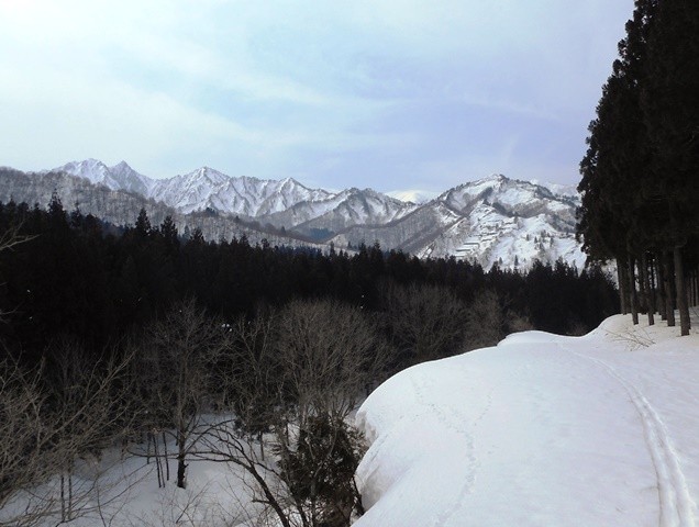 10・49 左から大源太山、七ツ小屋山、シシゴヤの頭等