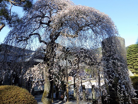 御嶽山神社14:28