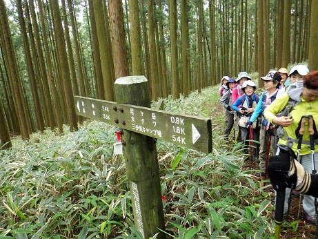 尼ヶ岳登山口　6/9　11:32