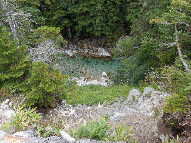 15・01黒部本流、水綺麗