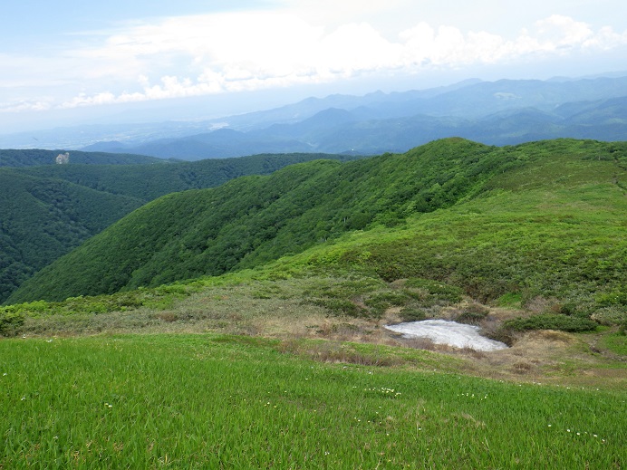 根菅岳直下のお花畑、遠く御所湖