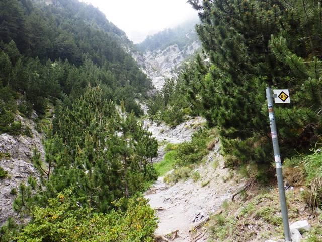 4号路登山道、大きな谷を渡る