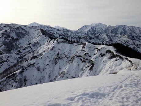 大力山8:00から奥は越後三山　手前の稜線は黒禿山