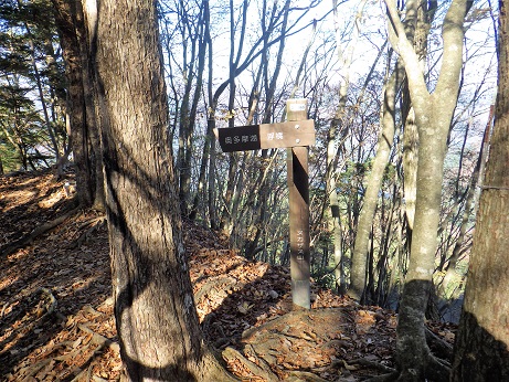 ヌカザス山13:54