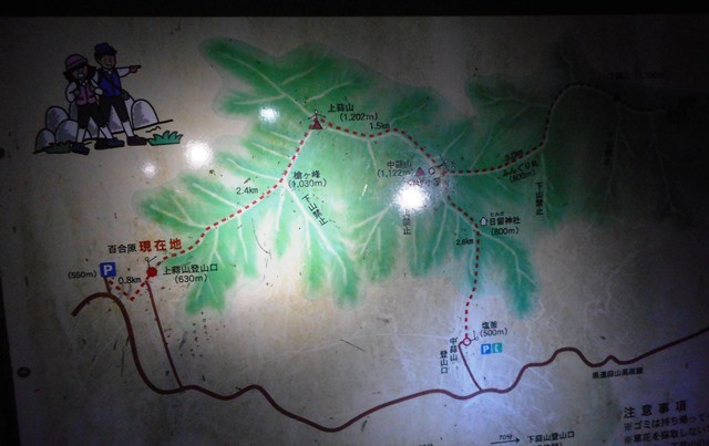 上蒜山登山口の牧場から林間に入った5・20