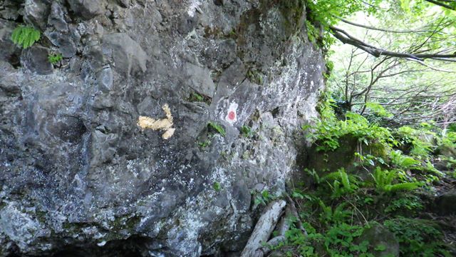 岩壁を行く