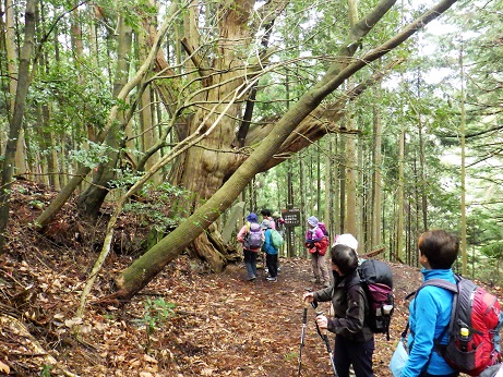 薬王坂 途中15:47