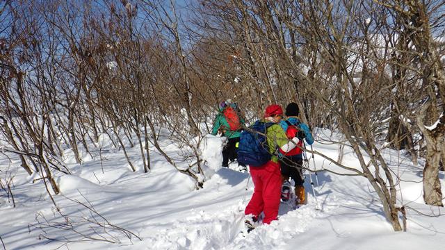 10：20林間を行く