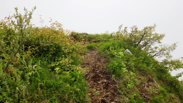 鋸岳13・12