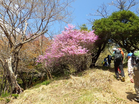 丸山11:55