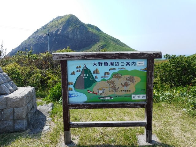 大野亀駐車場14.28