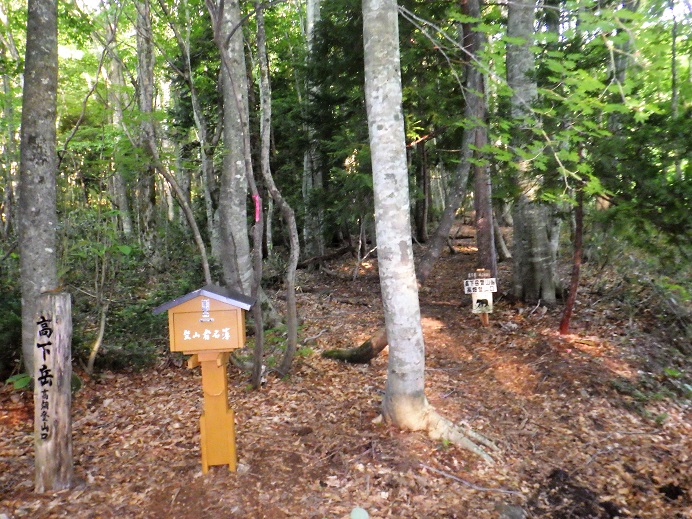 高畑登山口5:40～52